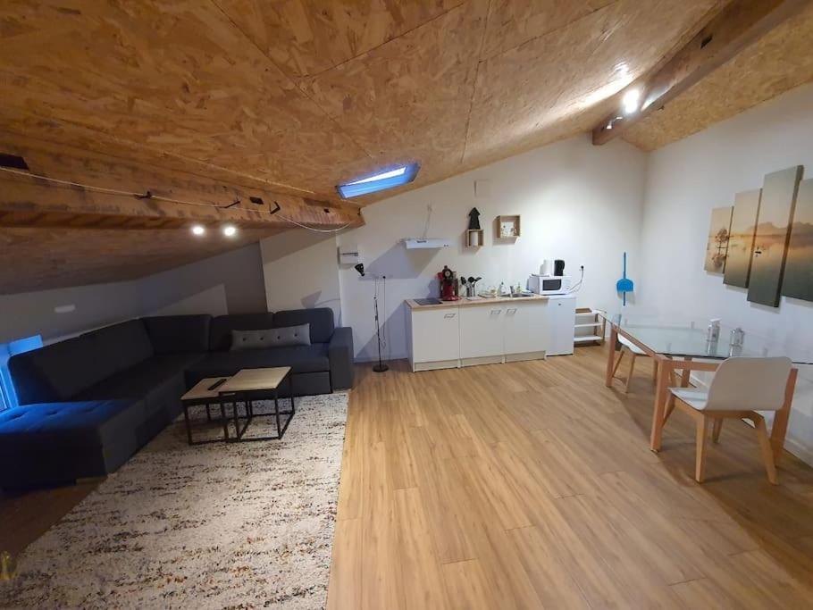 Apartment Loft Du Get *